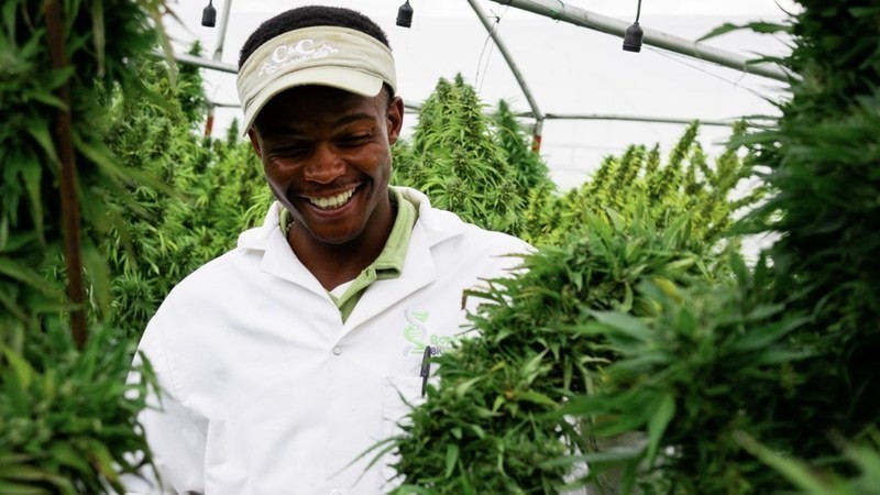 GreenStockNews