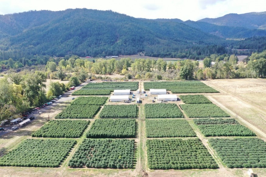 GreenStockNews