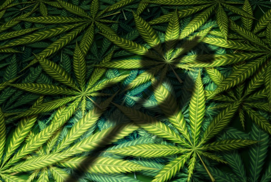 GreenStockNews