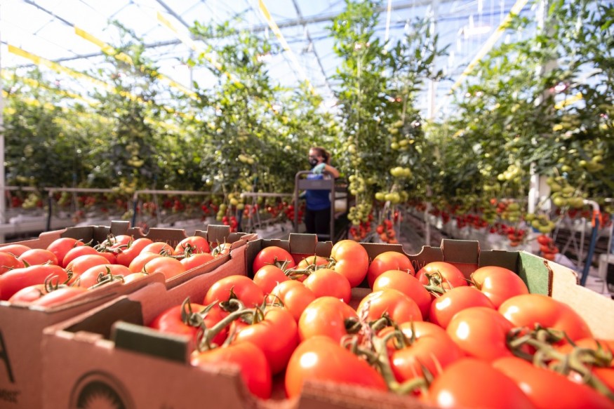 GreenStockNews