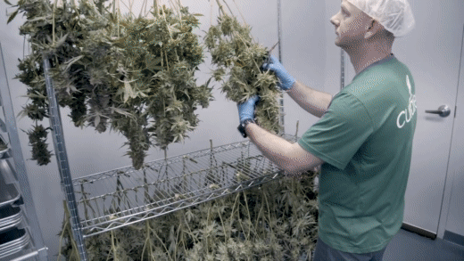 GreenStockNews