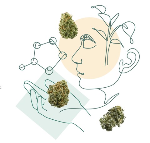 GreenStockNews
