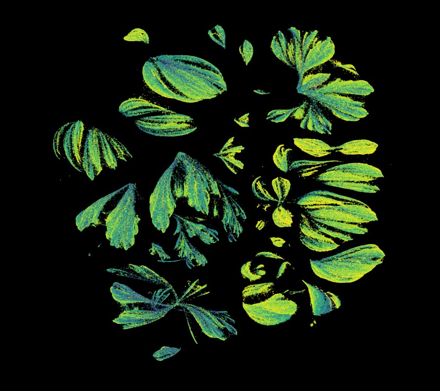 GreenStockNews