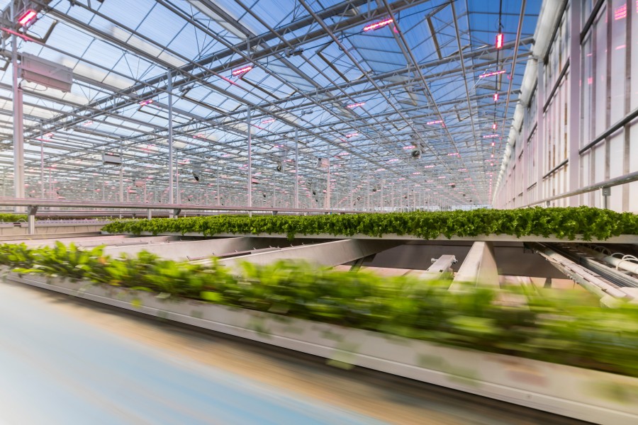 GreenStockNews