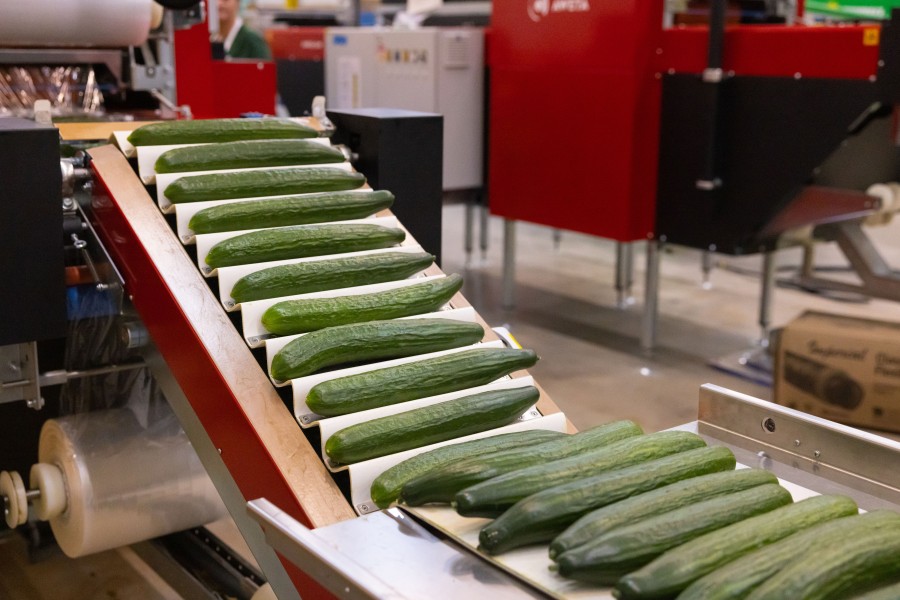 GreenStockNews