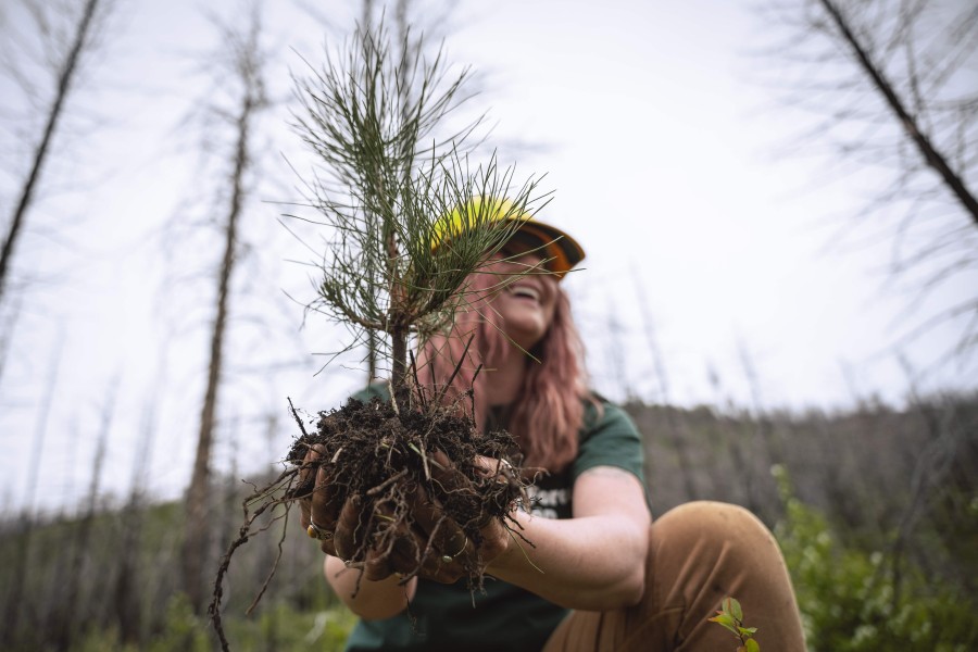 GreenStockNews