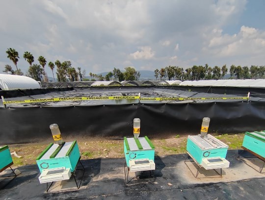 GreenStockNews
