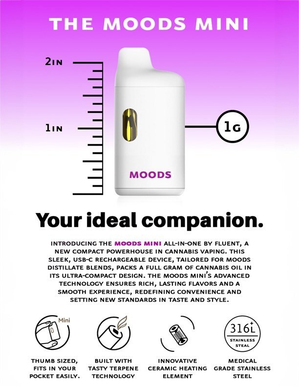 MOODS Mini, all-in-one by Fluent, now available in New York. (CNW Group/RIV Capital Inc.)