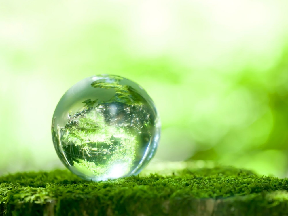 Green Stock News