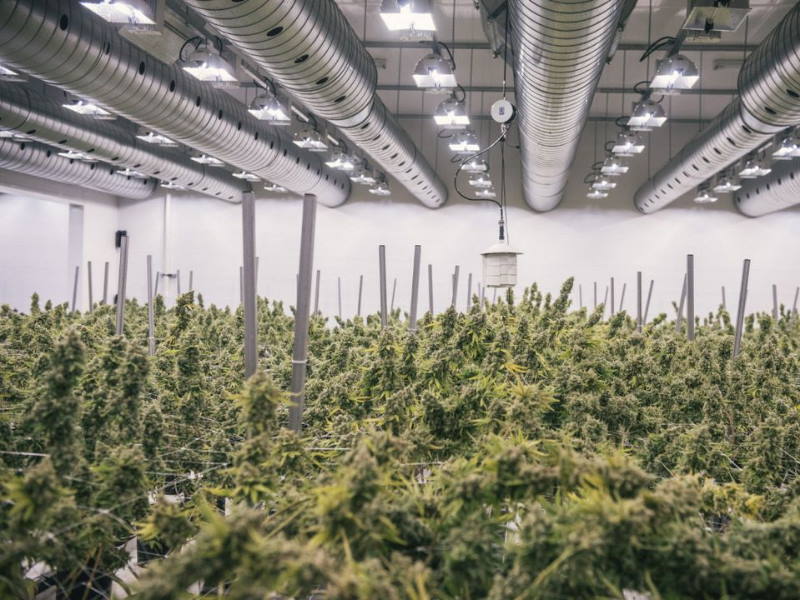 Green Stock News