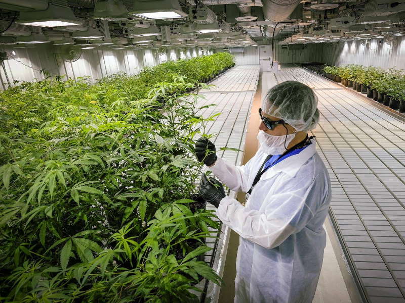 Green Stock News