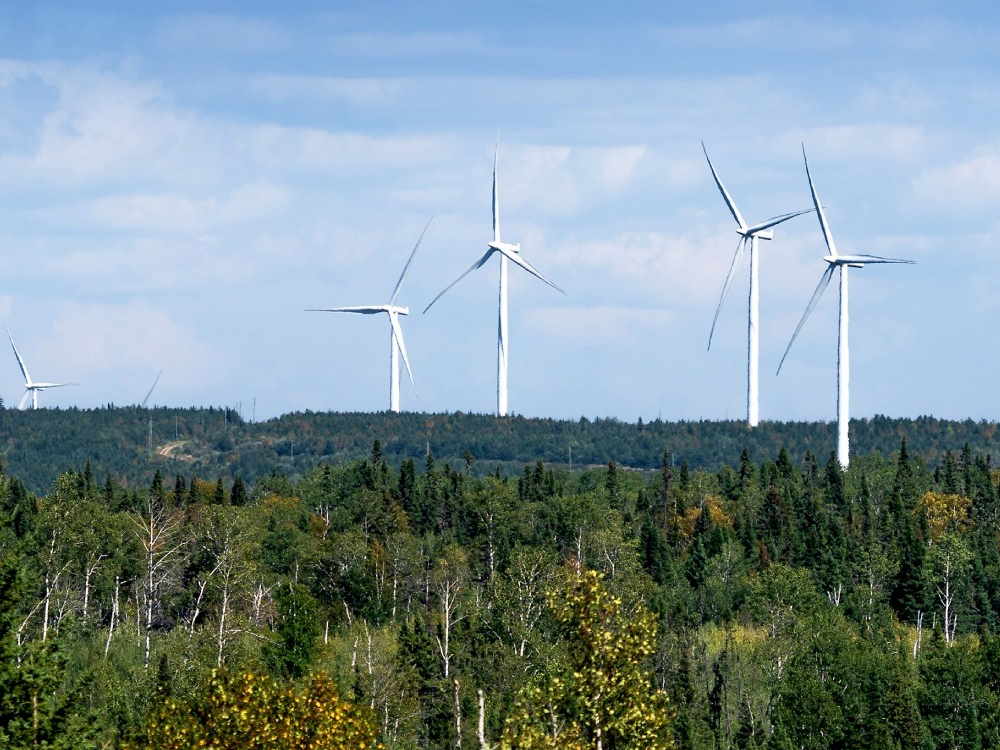 Green Stock News