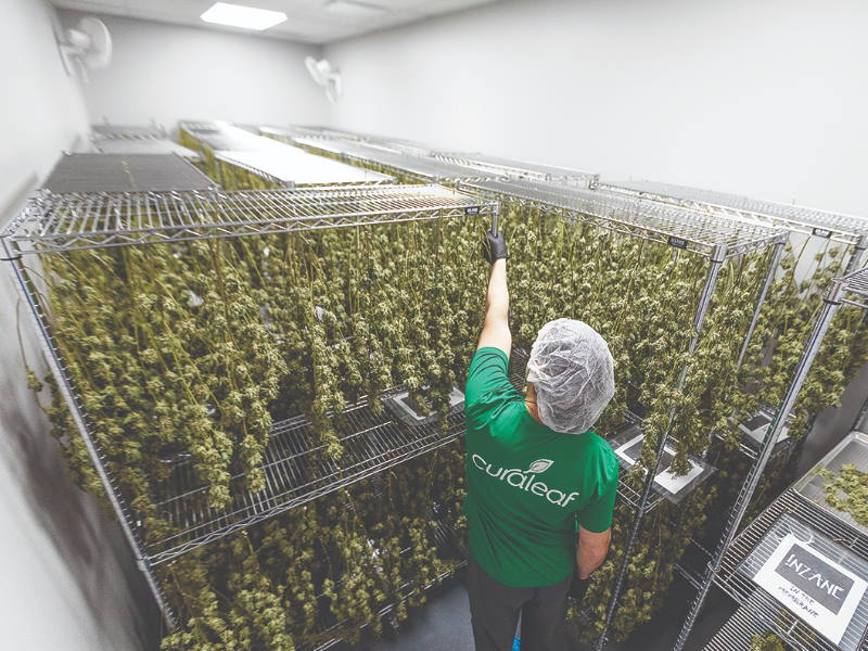 Green Stock News