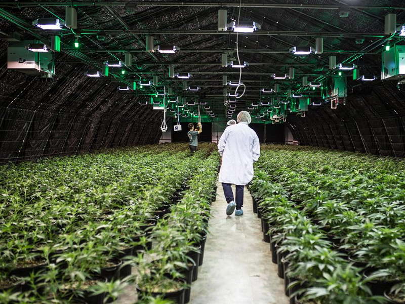 Green Stock News