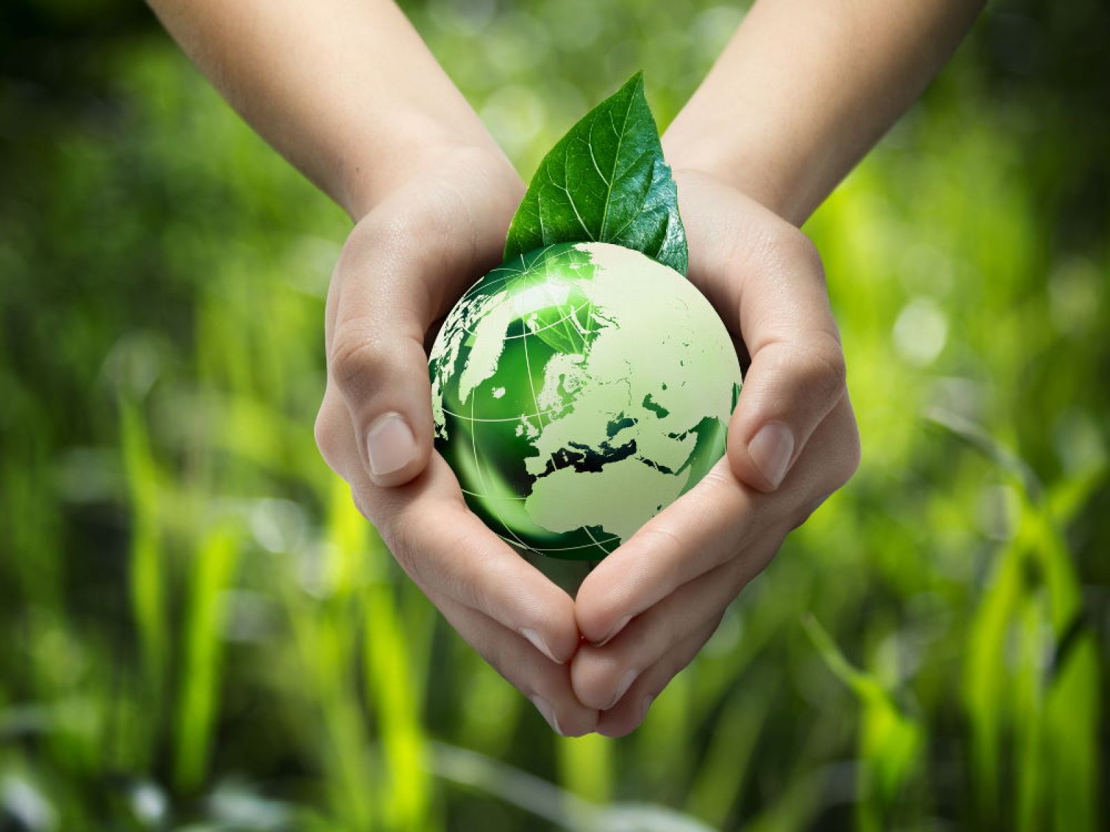 CleanTech Stocks
